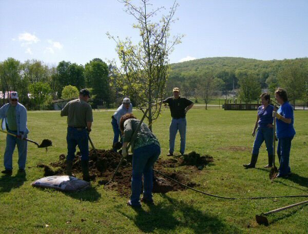 April 2008 Gurley Lions Club helping the citizens of Gurley planting trees in the Charles Stone Walking Park