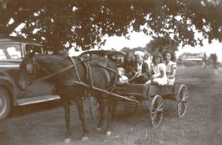 Walker horse and wagon