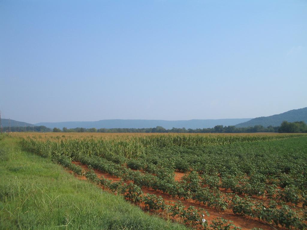 Keel Mountain Gurley Alabama Photo Album