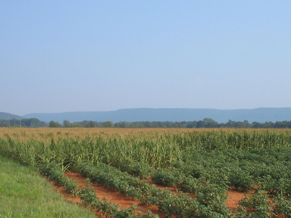 Keel Mountain Gurley Alabama Photo Album