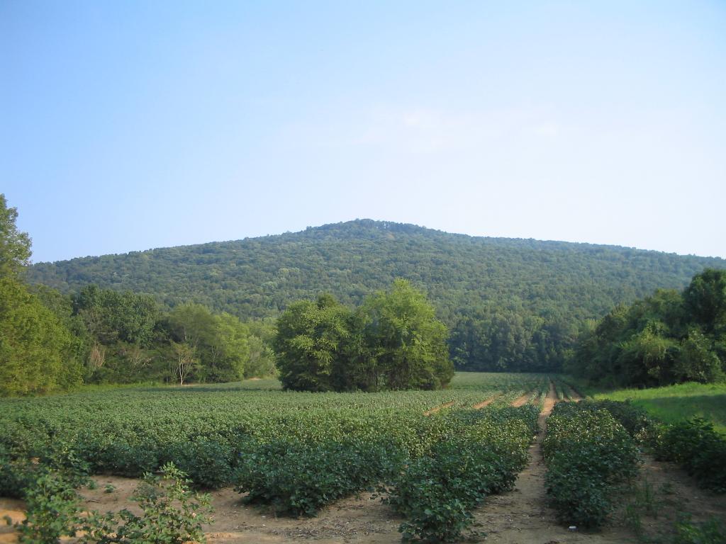 Keel Mountain Gurley Alabama Photo Album