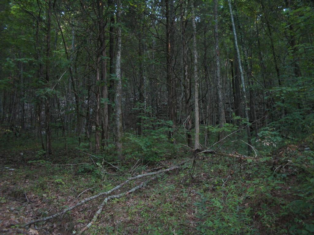 Keel Mountain Gurley Alabama Photo Album