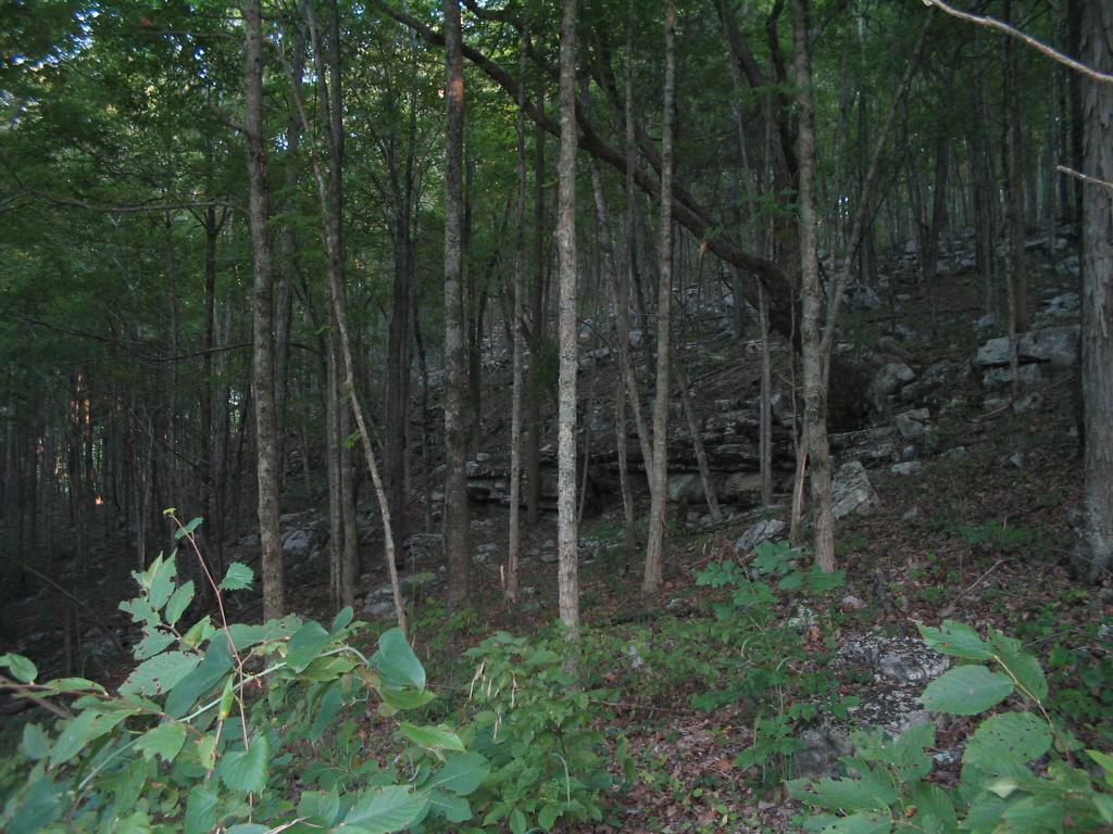 Keel Mountain Gurley Alabama Photo Album